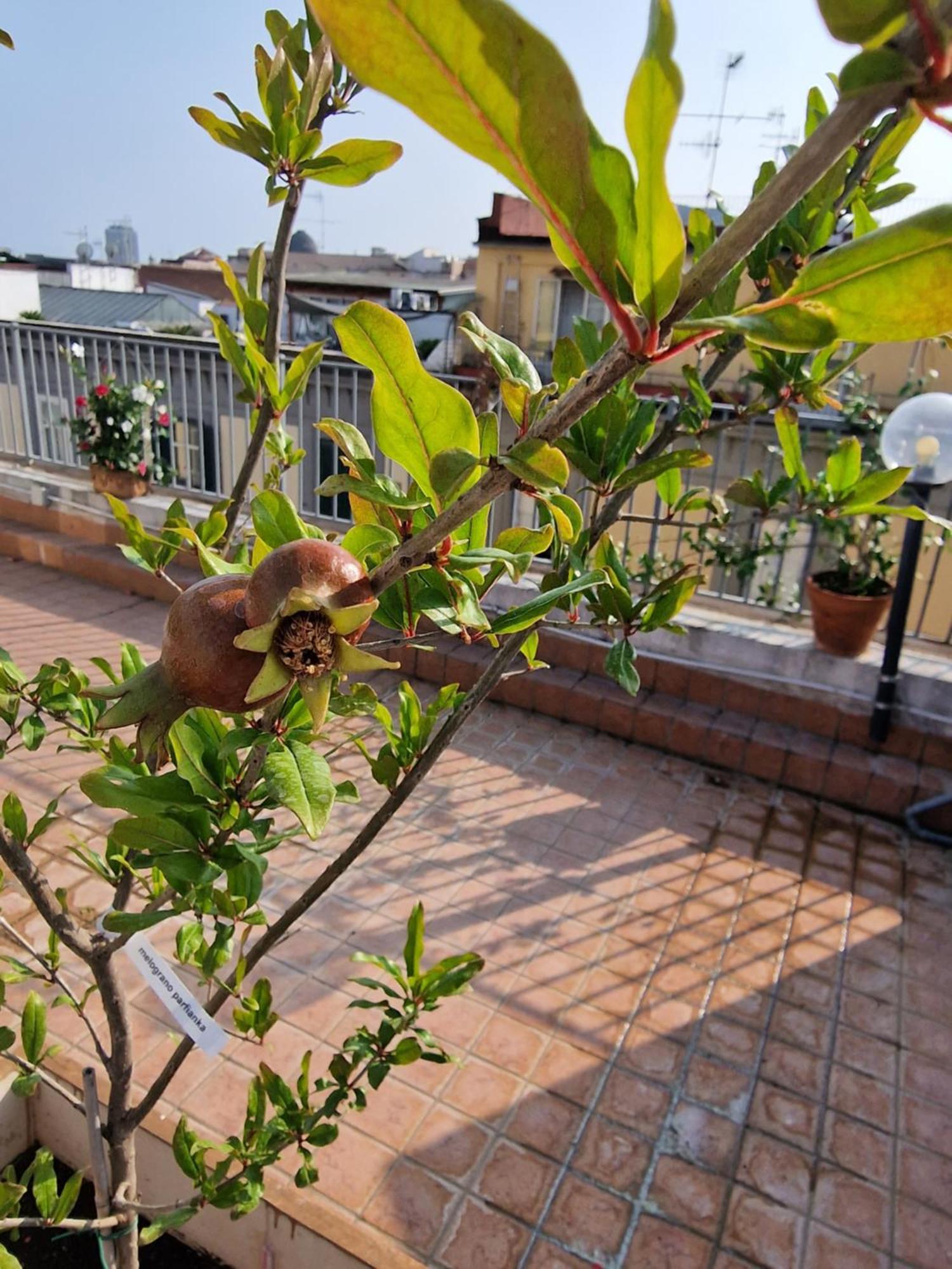 La Terrazza Delle Fate Nápoles Exterior foto